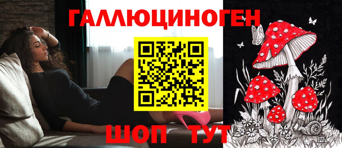 Псилоцибиновые грибы Cubensis Шахты